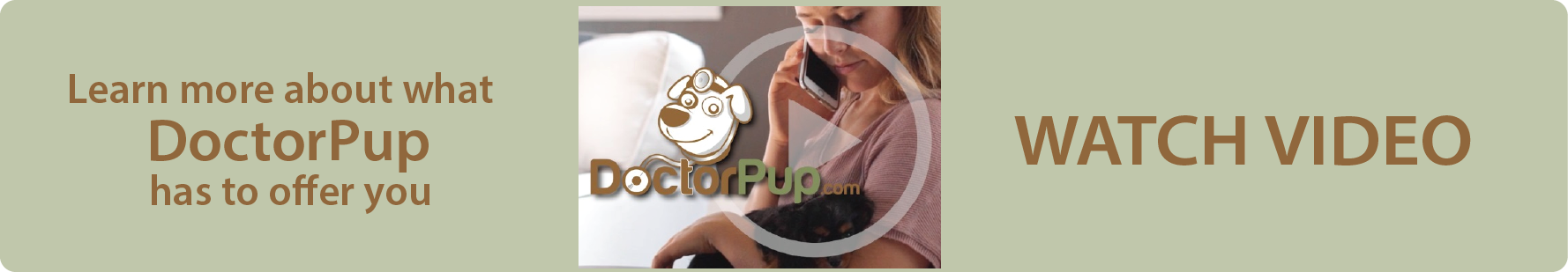 See what DoctorPup can do for you